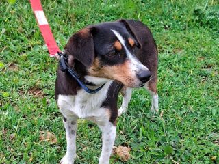 659706206_122118422367212468_1288795692000756430_n