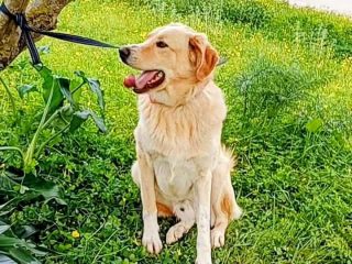 660415601_122118605451212468_7571397318687888367_n