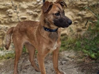 660493721_1276331924681445_496237416430266344_n-1