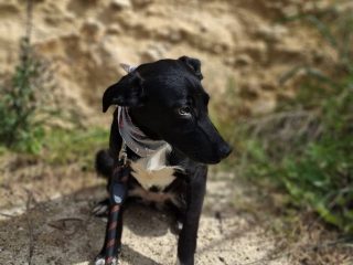 660869927_1276320691349235_5031296974772439324_n-1