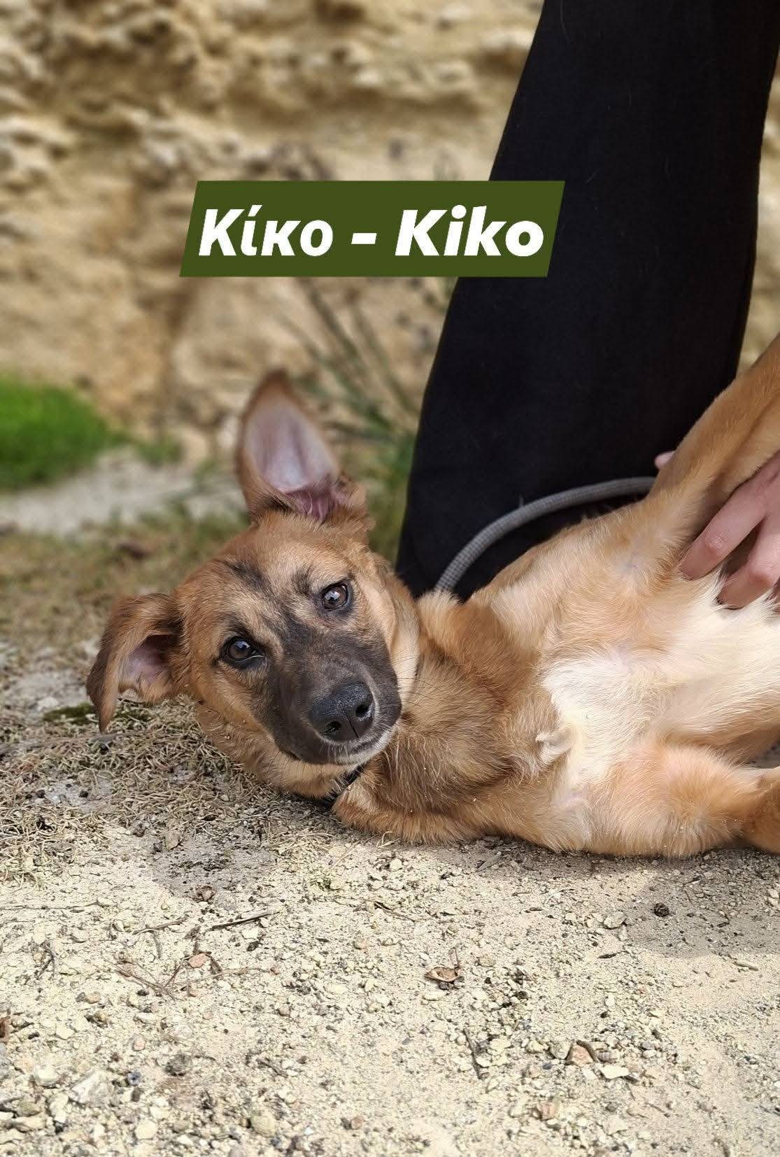 Kiko