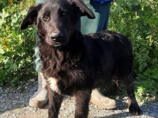 666535004_1280775277570443_6680977996522405243_n