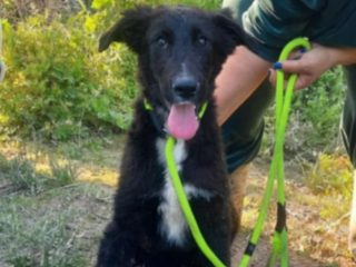 668073810_1280769937570977_7861579557946011370_n