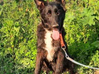 668142686_1280774027570568_4504835580143146580_n