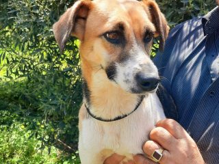 7430daa8-c5c2-4fec-89ee-bc373d91f967