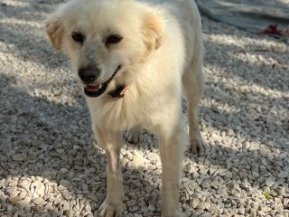 74a9c7f3-516b-462b-9ed8-c6b4dd9d8240