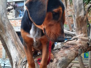 848a19c8-f2d1-4b30-9ab2-189bf283bc34