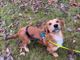 85bb10b5-0d0d-4f5a-8a2c-5c22f9f2b070