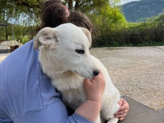 BD28DB3D-1088-44A6-8AD8-04AFC86E7C13