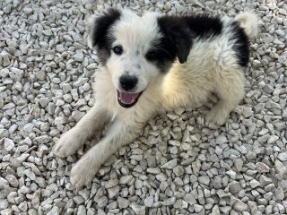 F9652F8C-2153-483F-80DA-0057F921F5ED