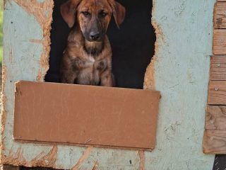 FB_IMG_1775155295240