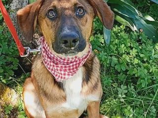 FB_IMG_1775156048593