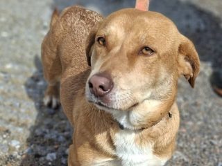 FB_IMG_1775330159893