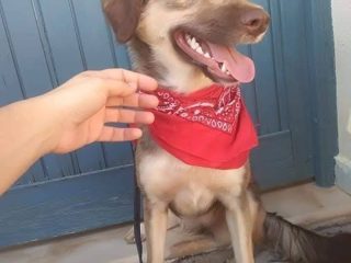 FB_IMG_1775331670948