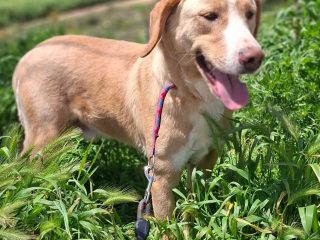 FB_IMG_1776100076798