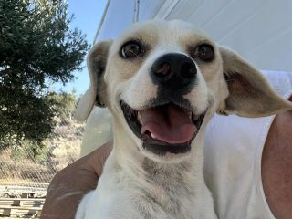 FB_IMG_1776706700523