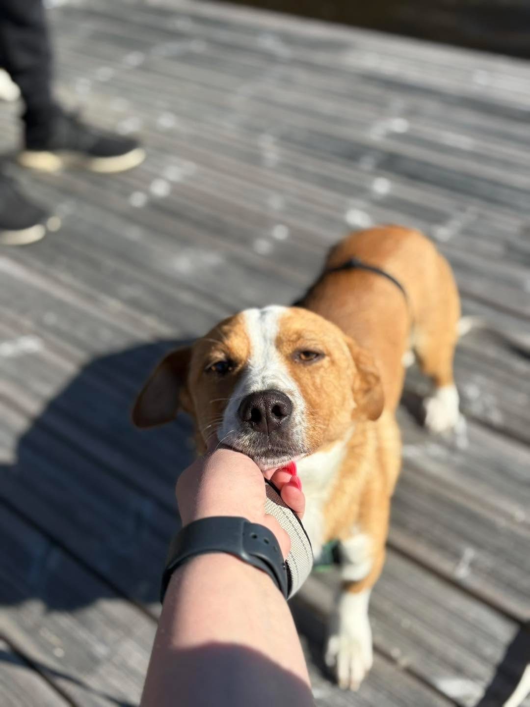 Diego/Kimmo (Suomessa)