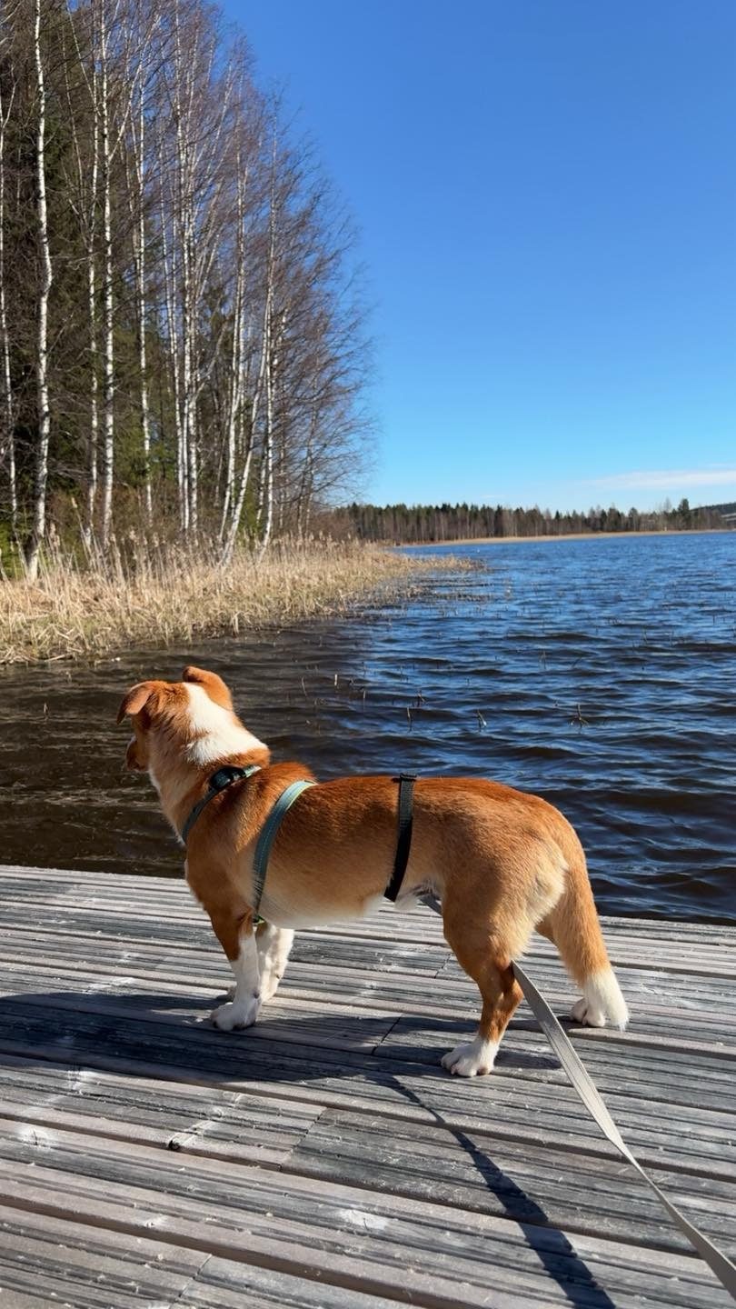 Diego/Kimmo (Suomessa)