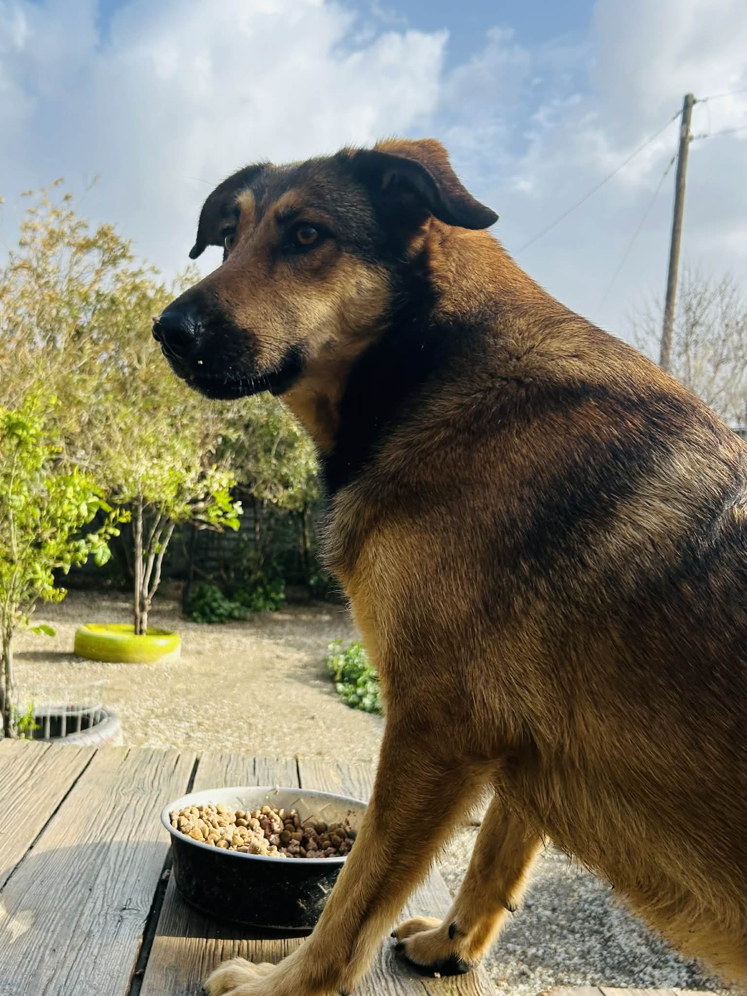 Cara