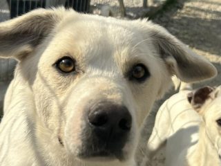 Messenger_creation_63728EAE-0D87-4C28-9521-D5BC1329CCCF