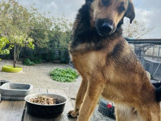 Messenger_creation_AC31E2D8-8B75-4C71-A5E3-C11F7F70A9F7