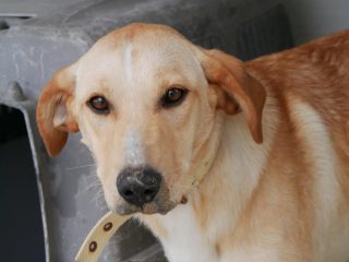 Messenger_creation_CEEB2157-4777-4943-BC91-BF196B32F5A8