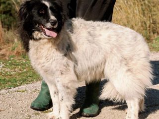 a430508c-df13-47b0-9029-0b52cc4390d5