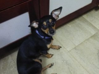 a9bdc01c-5062-4f4c-9981-f778f6f29a14