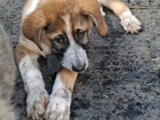 att.AFnmQ_mIi1n8PqiGlOvCrVcoqNLNXQh-9WJYOmEw4uQ