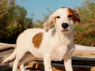 att.jou60CDm8puzcpdrM7aWGMBbnkU5qLgKVg9y3ZBxYuY