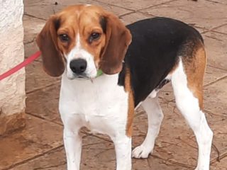 bd64aa8e-6bce-4fa3-9d36-f827ccd5ff46