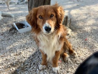 d83d84be-1b46-43ae-9dfa-a7d8479422fd