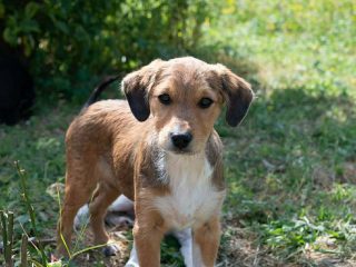 f979545f-86ef-478f-9855-6613821ec66d