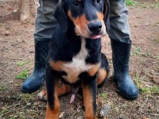 fb155881-6bd0-4572-866b-69006bf38fcd