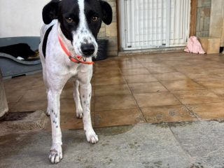 received_1697407864958864