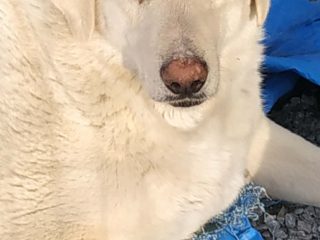 received_26445737708445179