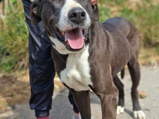 received_3425504640941544