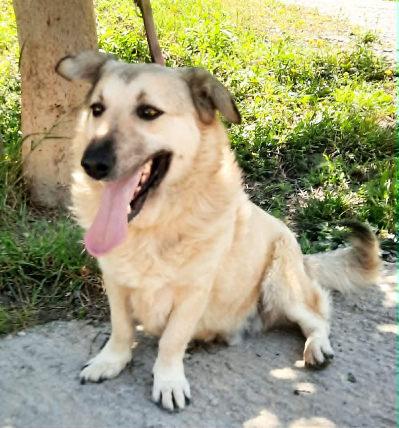 Luku
