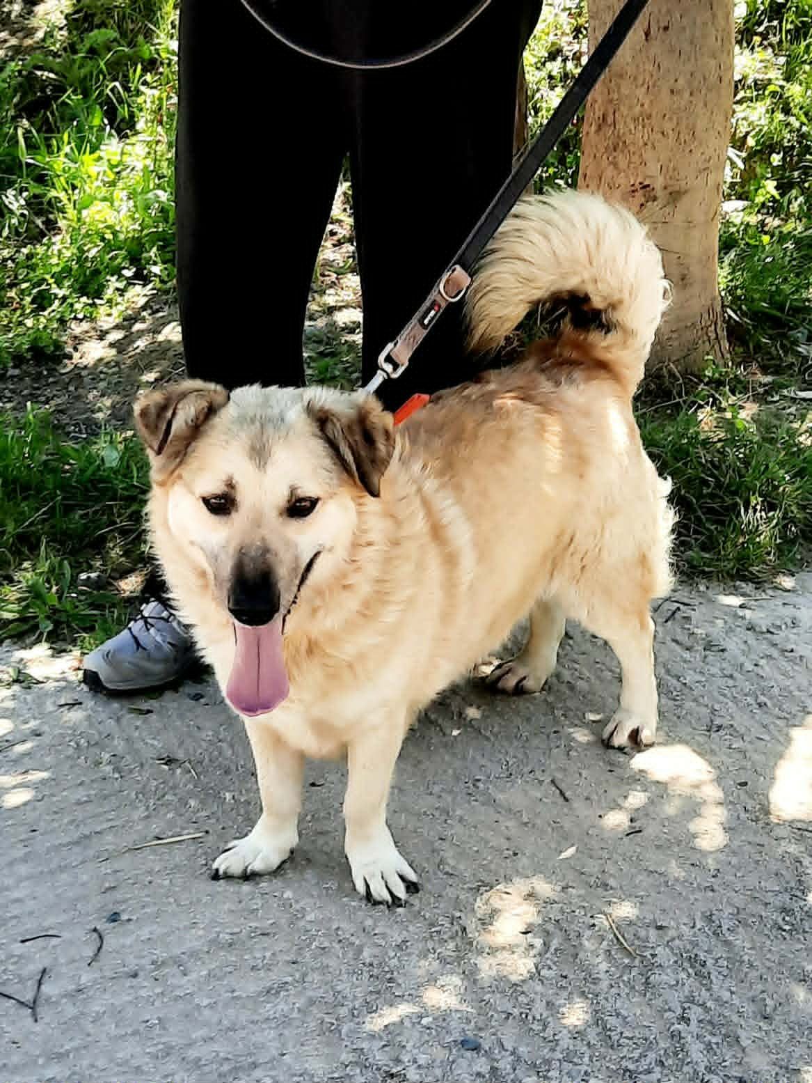 Luku