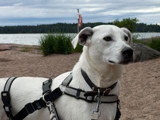 IMG-20260615-WA0026