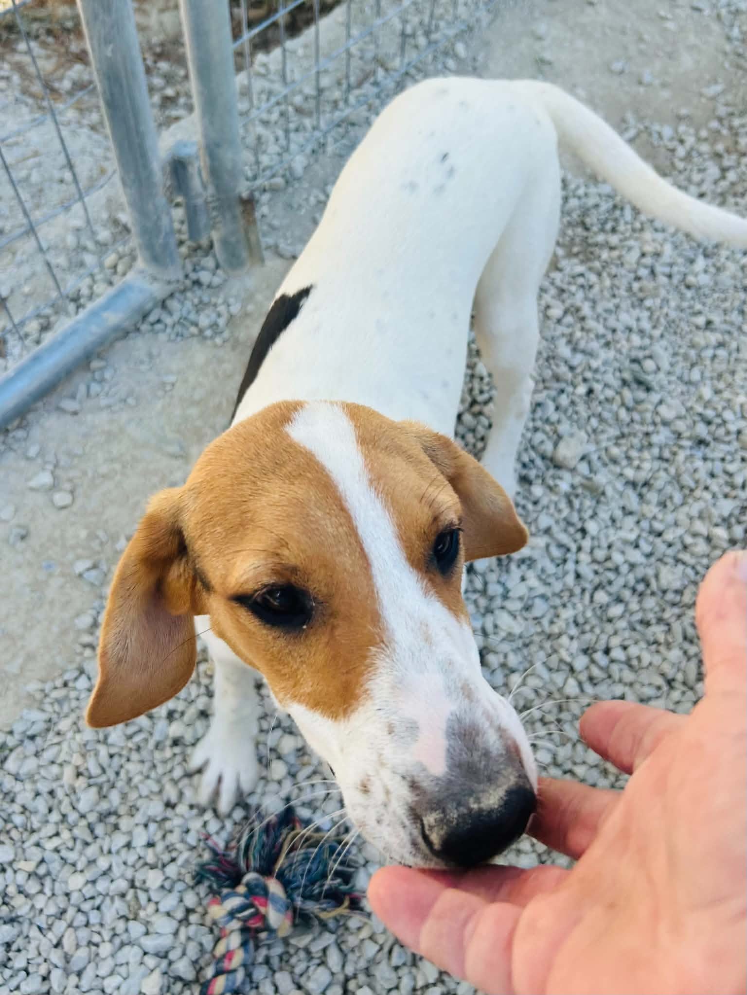 Maggie