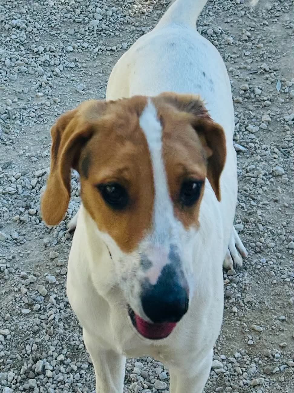 Maggie