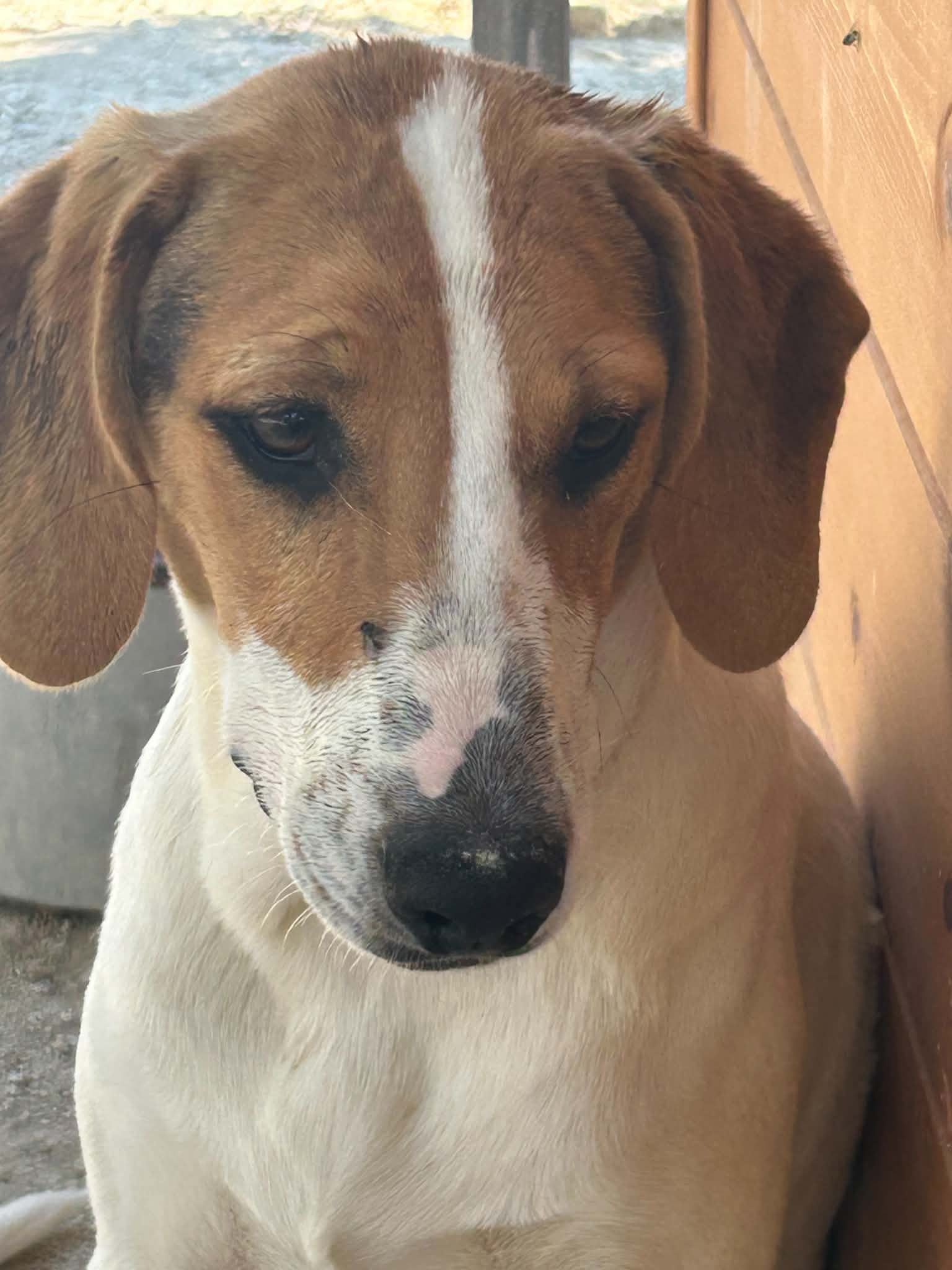 Maggie