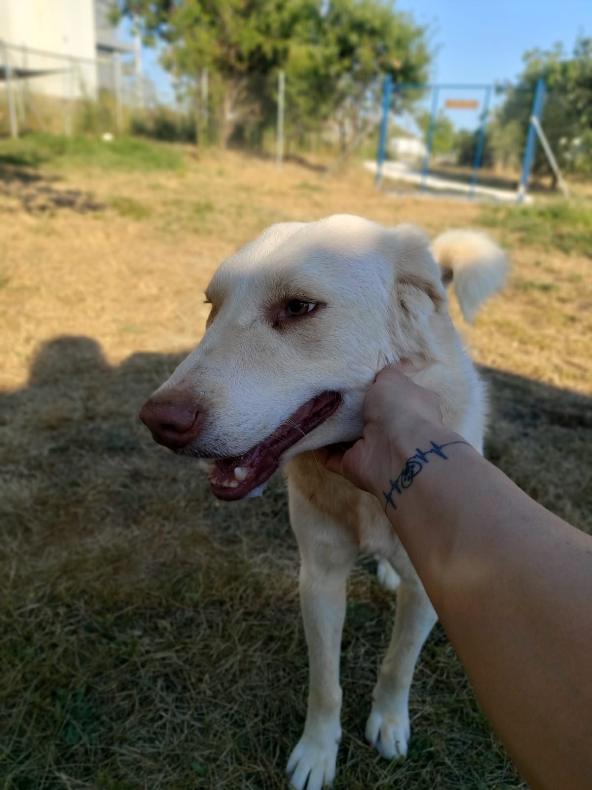 Max