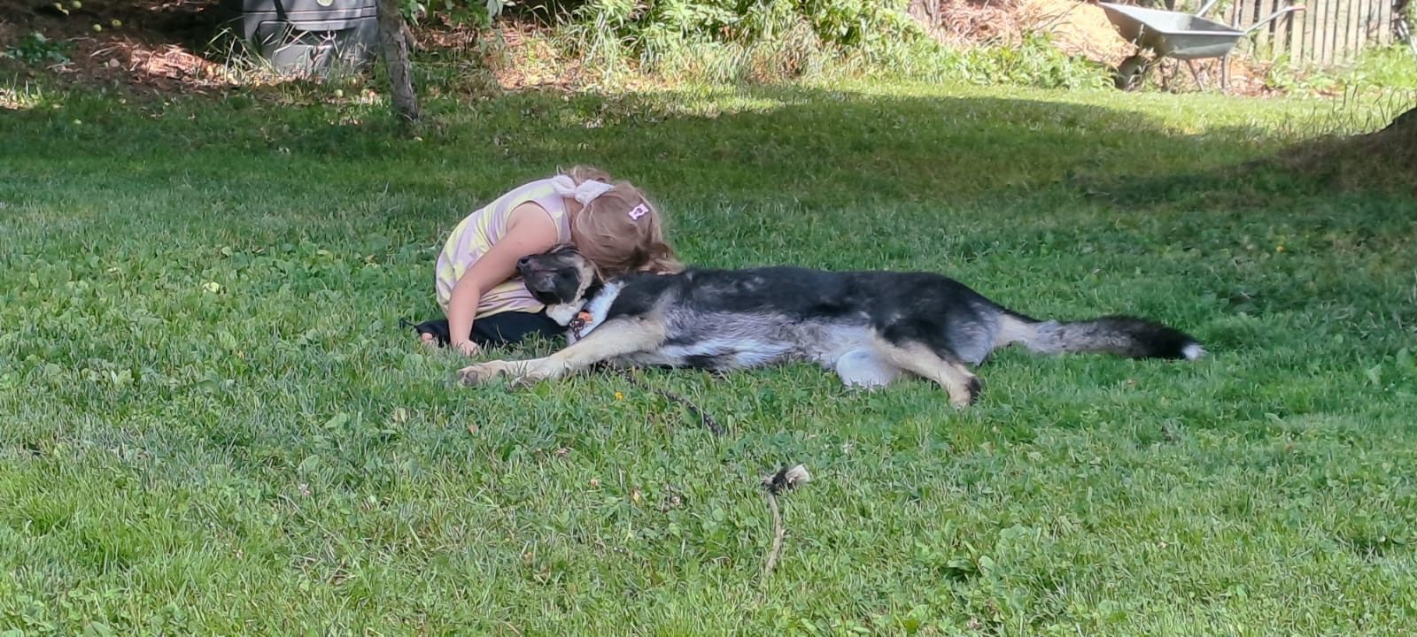 Nala (Suomessa)