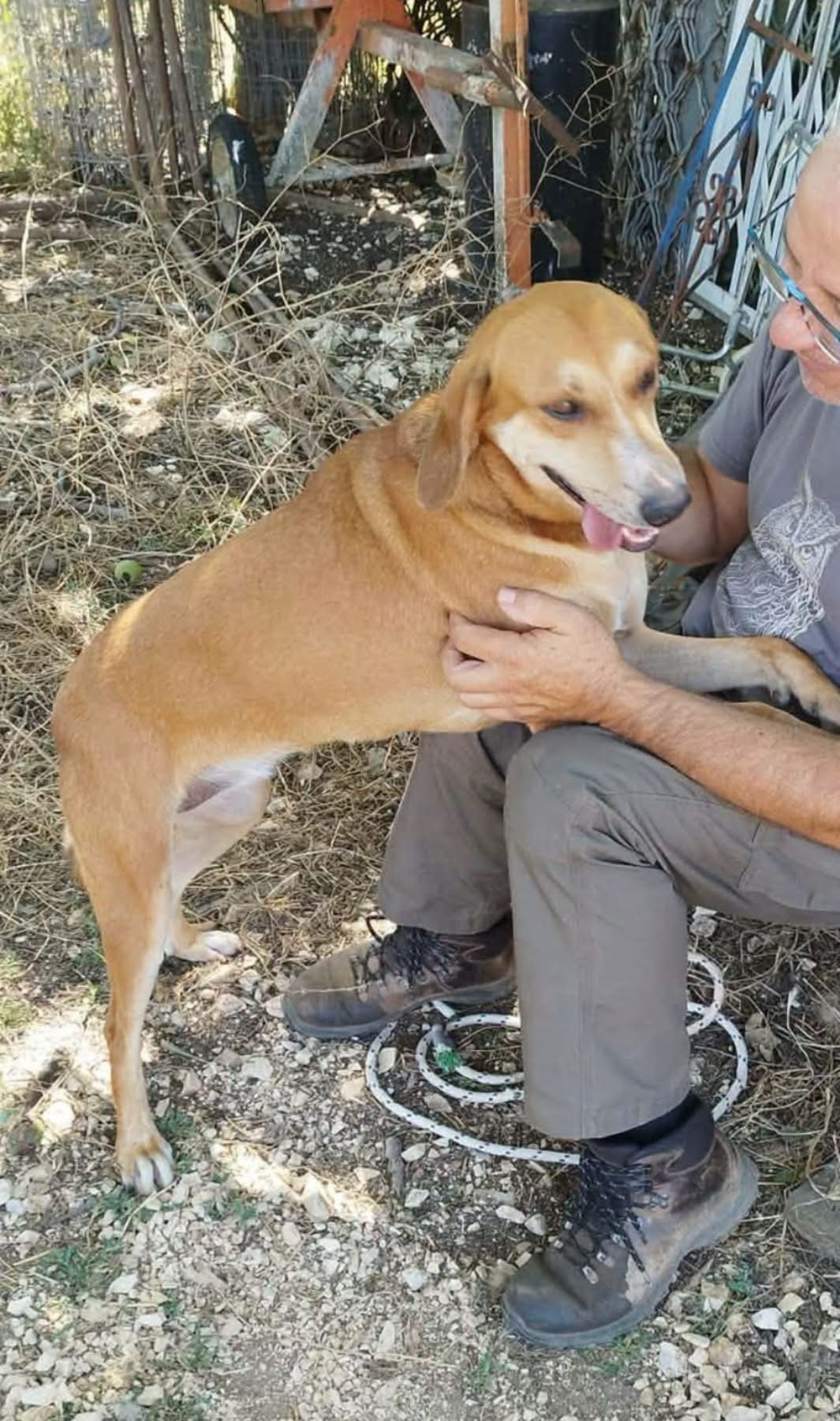 Lena