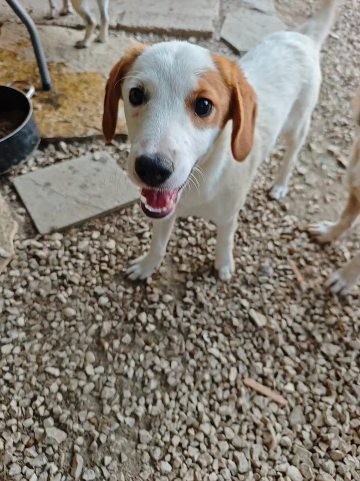 Milo