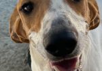 Maggie