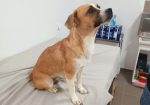 Chloe