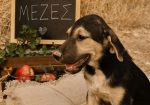 Mezes